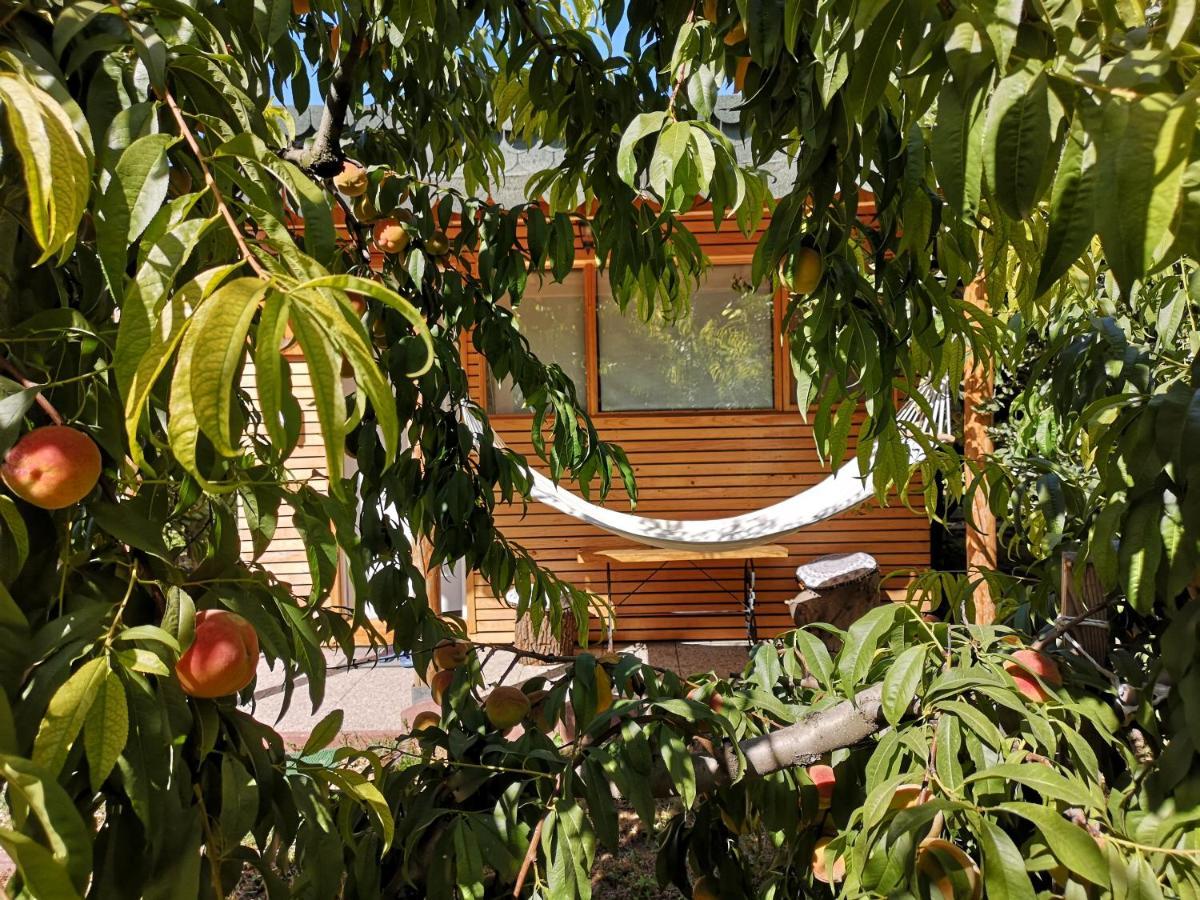Вилла Relax Eaza - Casa Cu Hamac Констанца Экстерьер фото