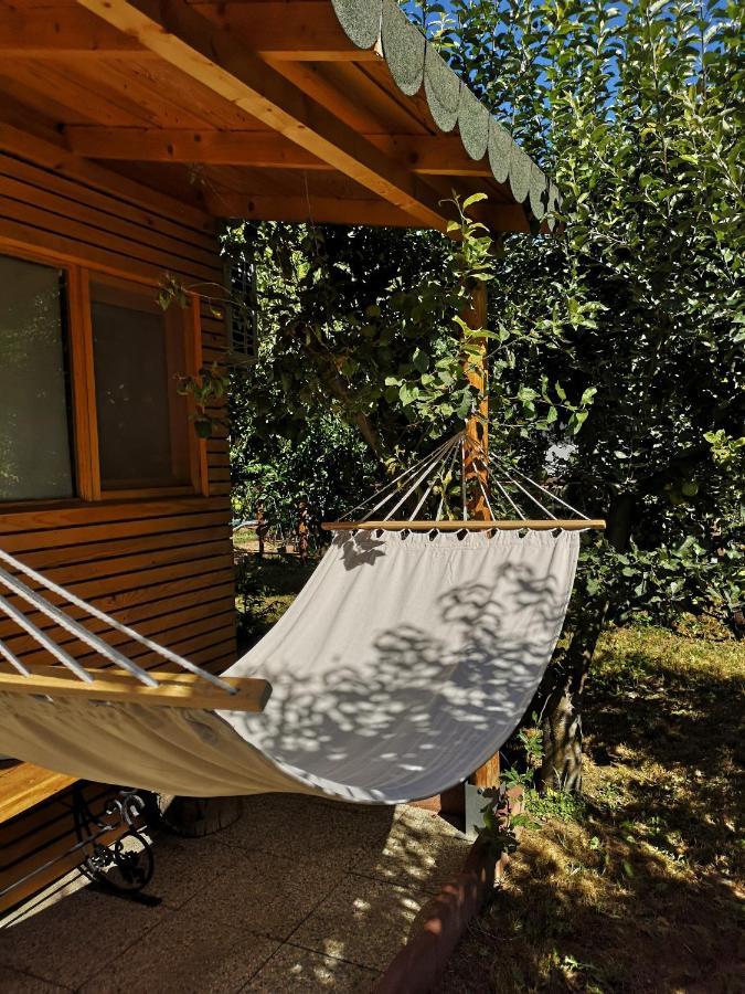 Вилла Relax Eaza - Casa Cu Hamac Констанца Экстерьер фото