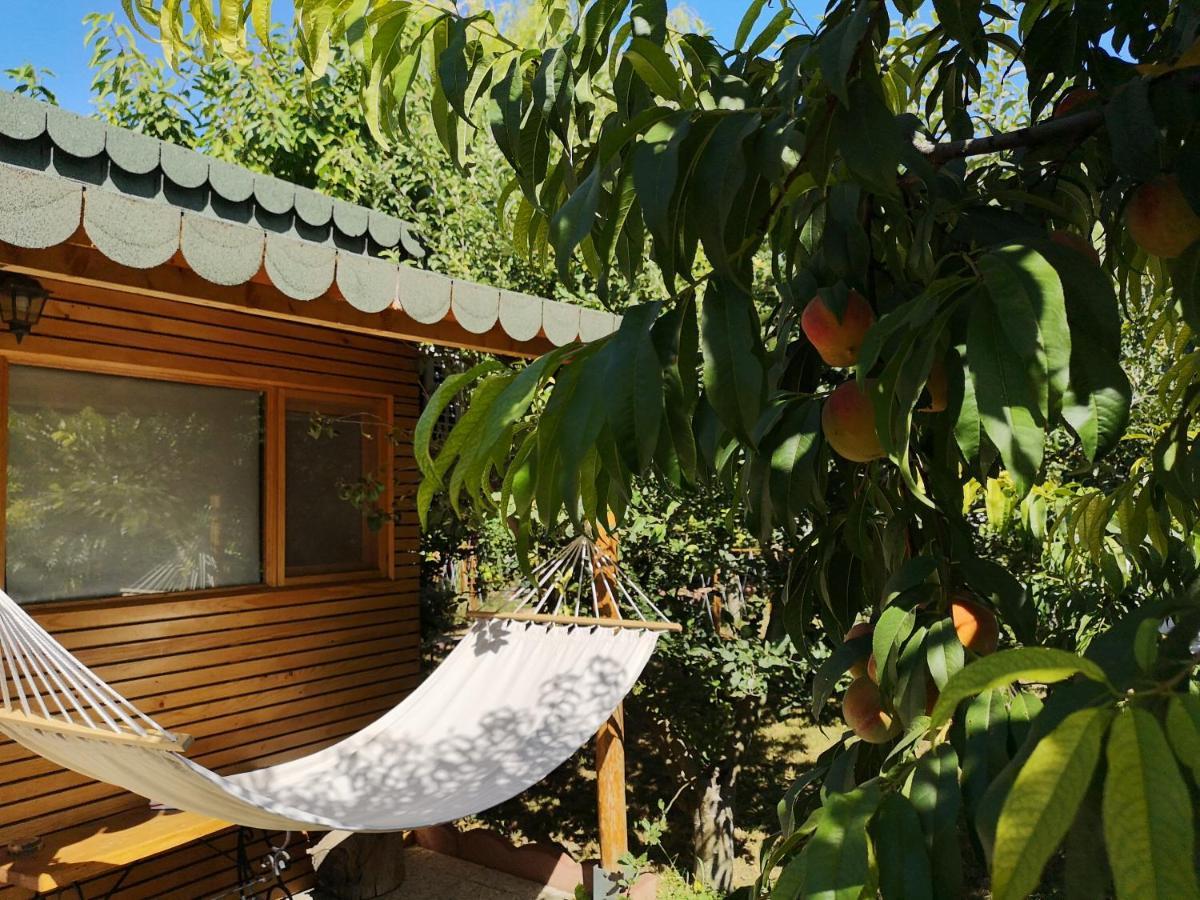 Вилла Relax Eaza - Casa Cu Hamac Констанца Экстерьер фото