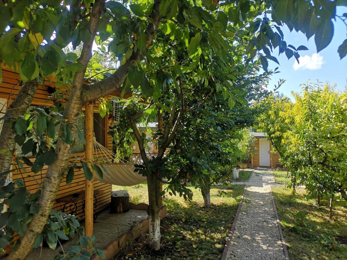 Вилла Relax Eaza - Casa Cu Hamac Констанца Экстерьер фото
