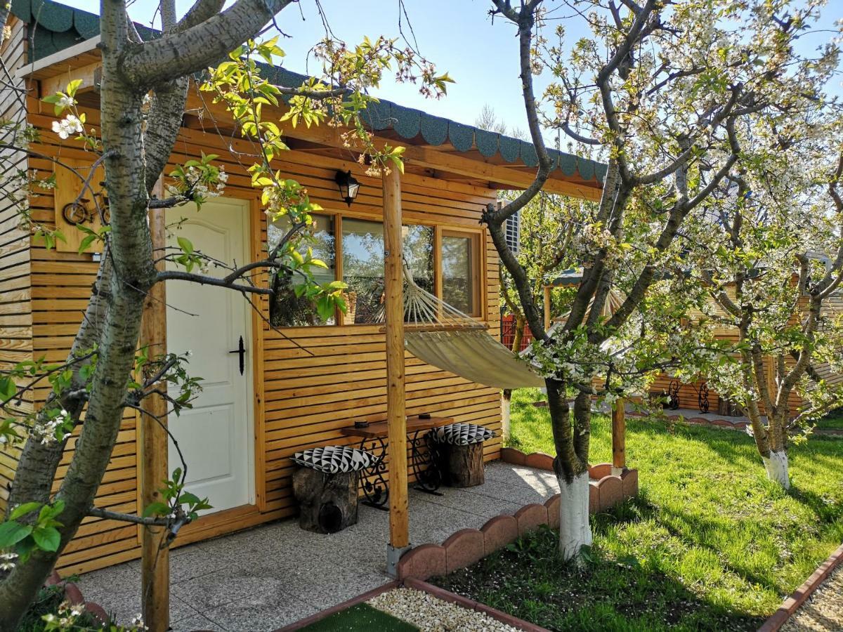 Вилла Relax Eaza - Casa Cu Hamac Констанца Экстерьер фото